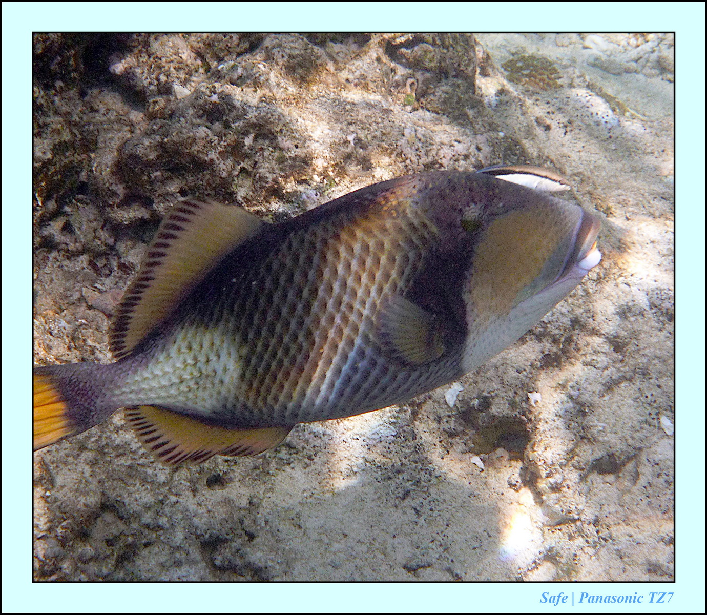 2012 - 07 - Gili - 88